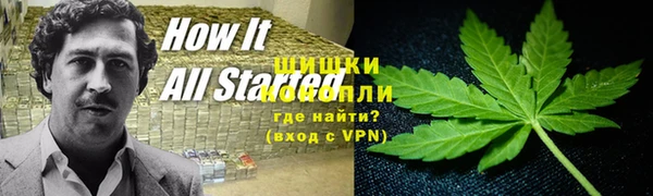 сатива Инта