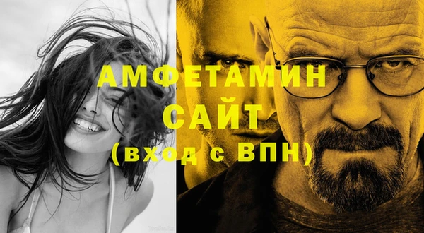 сатива Инта