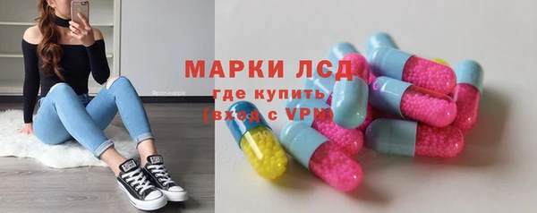 сатива Инта