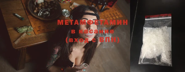 сатива Инта