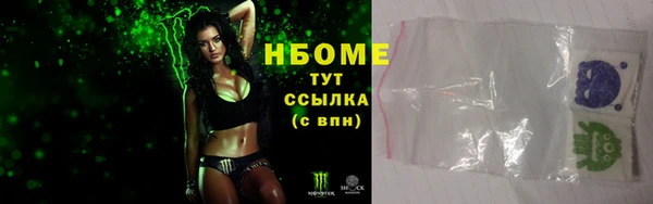 сатива Инта