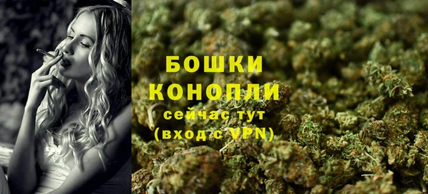 сатива Инта