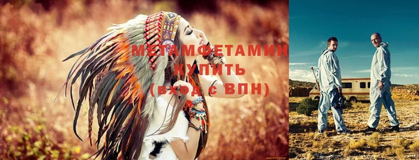сатива Инта