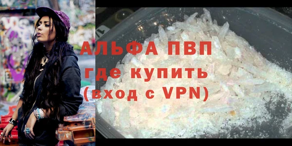 ГАЛЛЮЦИНОГЕННЫЕ ГРИБЫ Иннополис