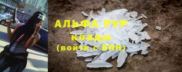 сатива Инта