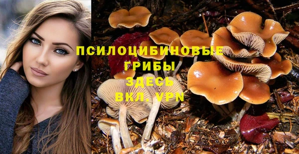 сатива Инта