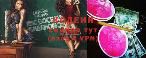сатива Инта
