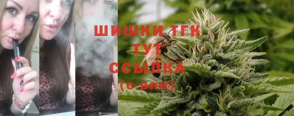ГАЛЛЮЦИНОГЕННЫЕ ГРИБЫ Иннополис